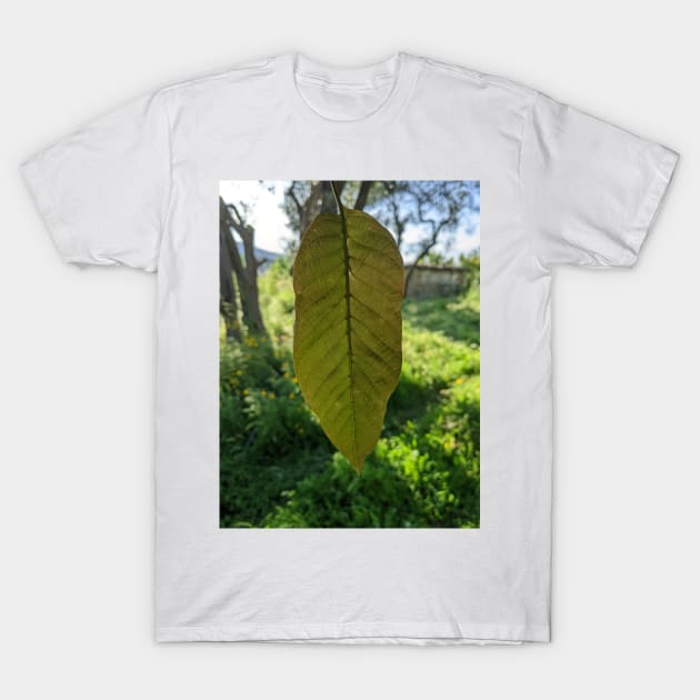 The Light that Passes Through You T-Shirt by aeolia